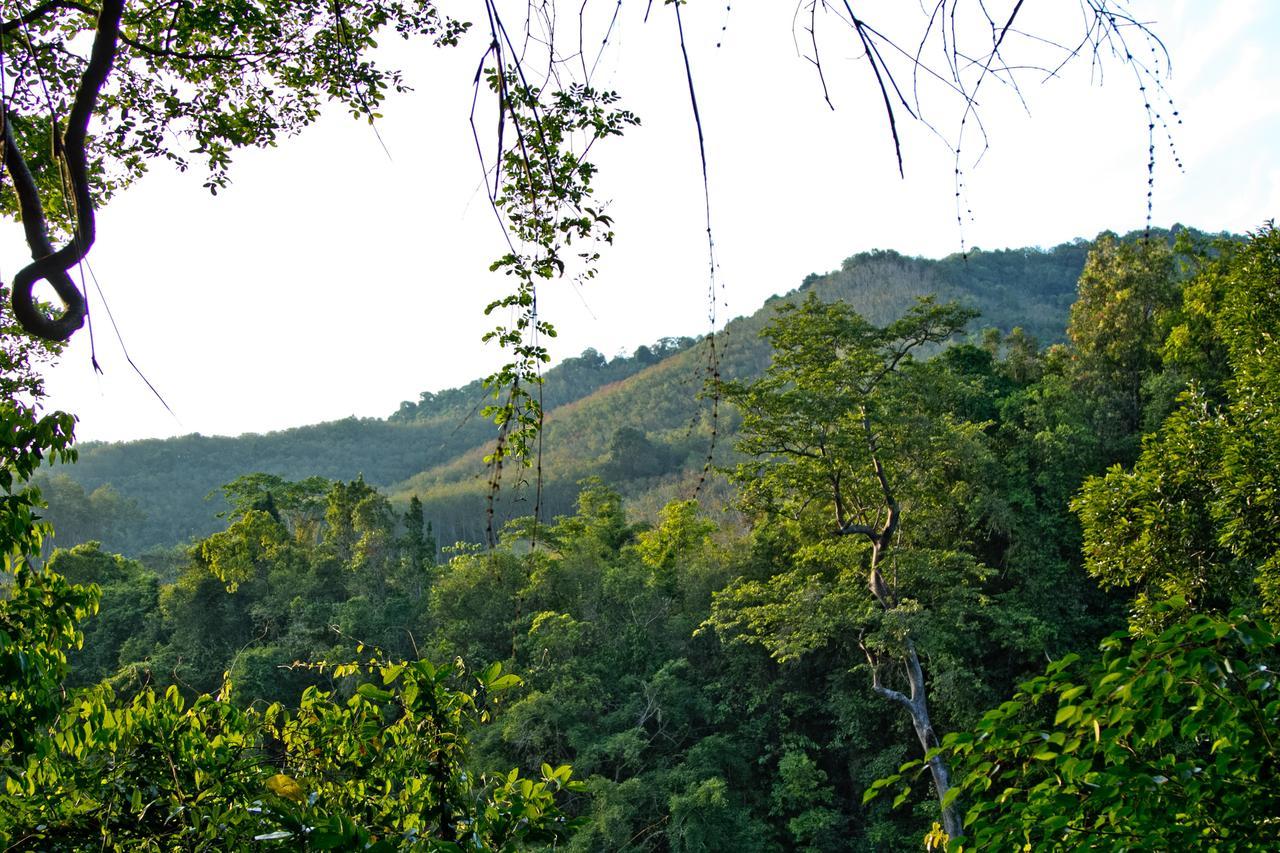 Chestnut Hill Eco Resort Had Yai Hat Yai Exterior photo